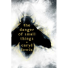 The Danger of Small Things