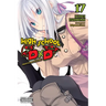 High School DXD, Vol. 17 (Light Novel): Professor Valkyrie