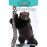 Wolverines