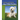 Canine and Feline Nutrition: A Resource for Companion Animal Professionals