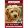 Goldendoodle Training Book for Dogs and Puppies by Bone Up Dog Training: Are You Ready to Bone Up? Easy Training * Fast Results Goldendoodle Training