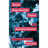 Social Reproduction Theory and the Socialist Horizon: Work, Power and Political Strategy