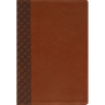 Amplified Holy Bible, Large Print, Leathersoft, Brown: Captures the Full Meaning Behind the Original Greek and Hebrew