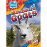 Mountain Goats