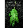 Surviving Life, Love and Above Six Feet Under