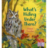 What's Hiding Under There?: A Magical Lift-The-Flap Book