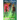 After/Effects