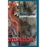 Astral Somatica 1: Essays & Activities on the Astral Body