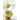 Little Girl