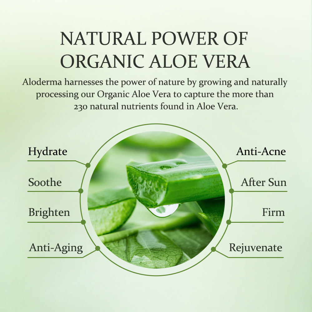 Aloe Hydrating Cream by ALODERMA