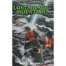 Lost on Black Mountain: A Flaugherty Twins Mystery - Book 3