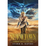 Stormcrown: An Epic Fantasy Romance