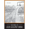 The Walk to Old Colony Dam
