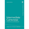 Intermediate Cantonese: A Grammar and Workbook