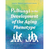 Pathways to the Development of the Aging Phenotype