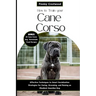 How to Train Your Cane Corso: Effective Techniques to Smart Socialization Strategies for Caring, Grooming, and Raising an Obedient Guardian Dog