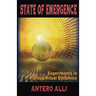State of Emergence: Experiments in Group Ritual Dynamics