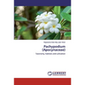 Pachypodium (Apocynaceae)