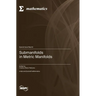 Submanifolds in Metric Manifolds