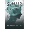 Sleeper on the Mountain: A Magical Time Travelling Viking Adventure for Young Adult Readers