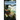 Madwand