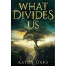 What Divides Us