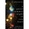 A Queer Summer Night in Cowtown
