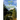 Death in a Live Forest
