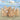 The Golden Ratio: Fun in the Sun