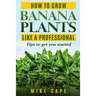 How to grow Banana Plants like a Professional: Beginner's guide and tips to get you started