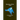 Migration of Birds (1950)