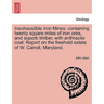 Inexhaustible Iron Mines: Containing Twenty Square Miles of Iron Ores, and Superb Timber, with Anthracite Coal: Report on the Freehold Estate of