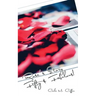 Rose's Story Fifty & Fabulous!