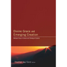 Divine Grace and Emerging Creation: Wesleyan Forays in Science and Theology of Creation