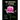 Blooms in Time: Unlocking the Secret Language of Flowers in Victorian Era Illustrated Botany