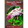 Butterfly Bush Plant: Plant overview and guide