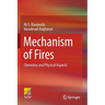Mechanism of Fires: Chemistry and Physical Aspects