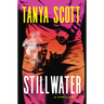 Stillwater: A Luke Harris Thriller