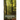 Advanced Sustainable Forest Management