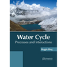 Water Cycle: Processes and Interactions