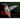 The Ruby-throated Hummingbird: A photo essay