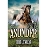 Asunder: A Novel of the Civil War
