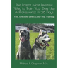 The Fastest Most Effective Way to Train Your Dog Like A Professional in 28 Days: Achieving a well-trained dog in 28 days using E-Collar training