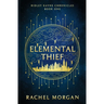 Elemental Thief