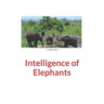 Intelligence of Elephants