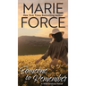 Someone to Remember, A Wild Widows Novel