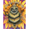 The Star Father's Gift: A Story from the Bees