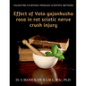 Effect of Vata Gajankusha Rasa in Rat Sciatic Nerve Crush Injury: Validating Ayurveda through Scientific methods