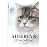 Siberian: Cat Breed Complete Guide