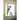 The Book of Automatic Drawing
